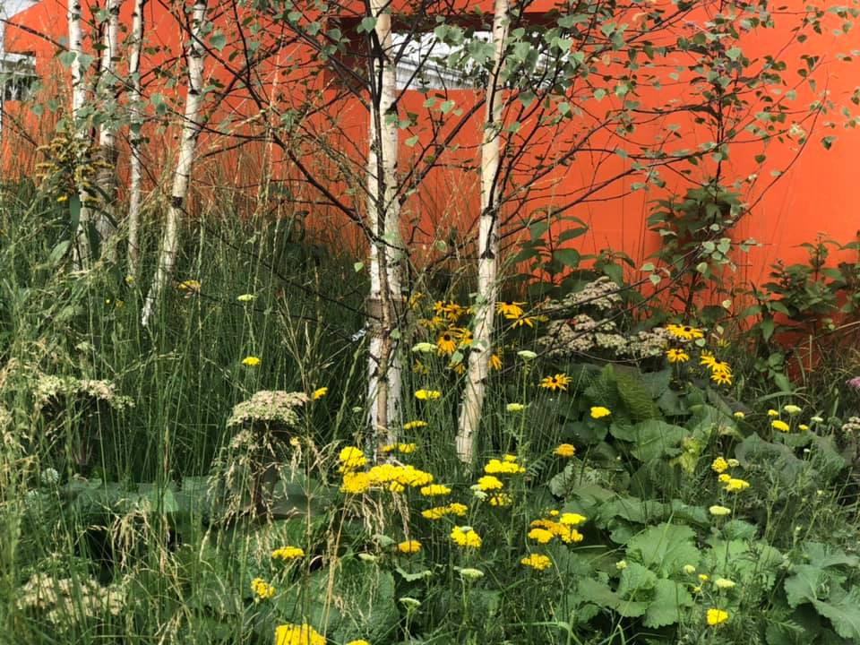 Выше крыши. Цветочный джем