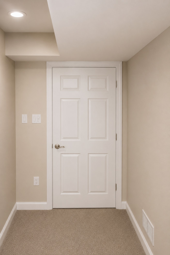 Ann Arbor - Basement Family Space, Guest Room & Egress Window