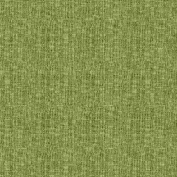 Light Green Slubby Linen Fabric