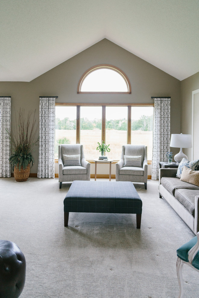 Transitional living room photo in Minneapolis