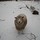 cathy_daigle