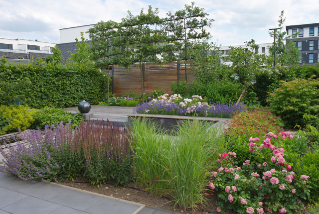 Der schicke Stadtgarten contemporaneo-jardin