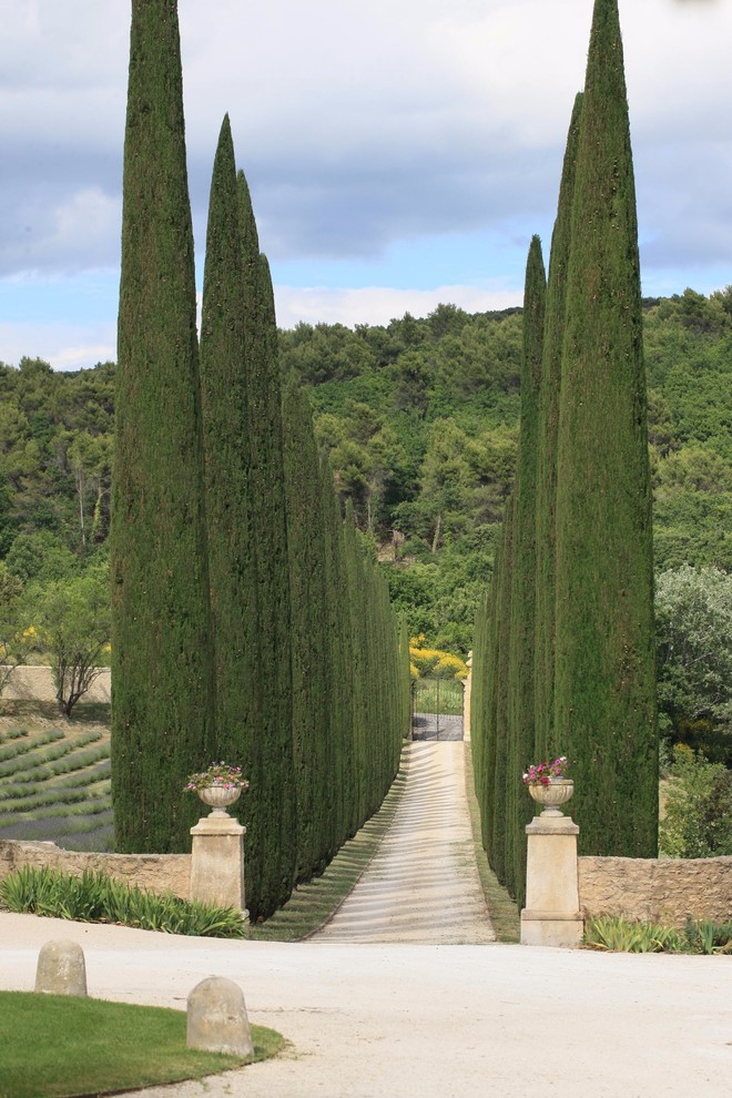 Французский сад