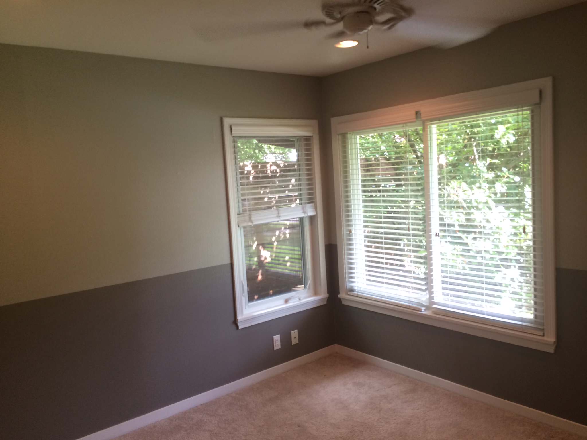 Transitional Full Home Paint