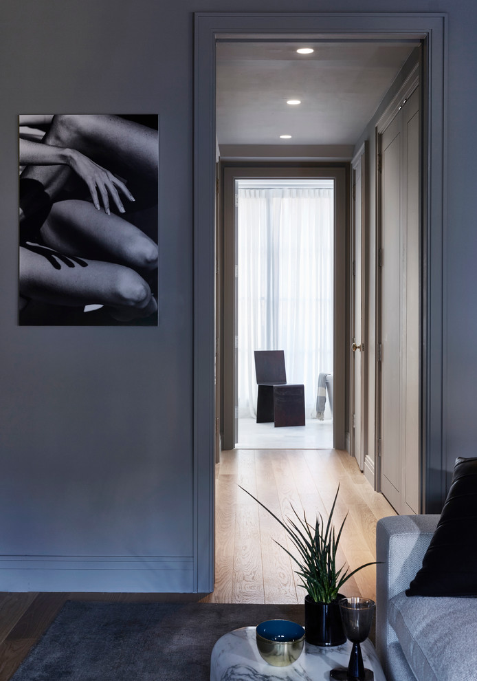 Mid-sized modern hallway in New York with white walls and light hardwood floors.
