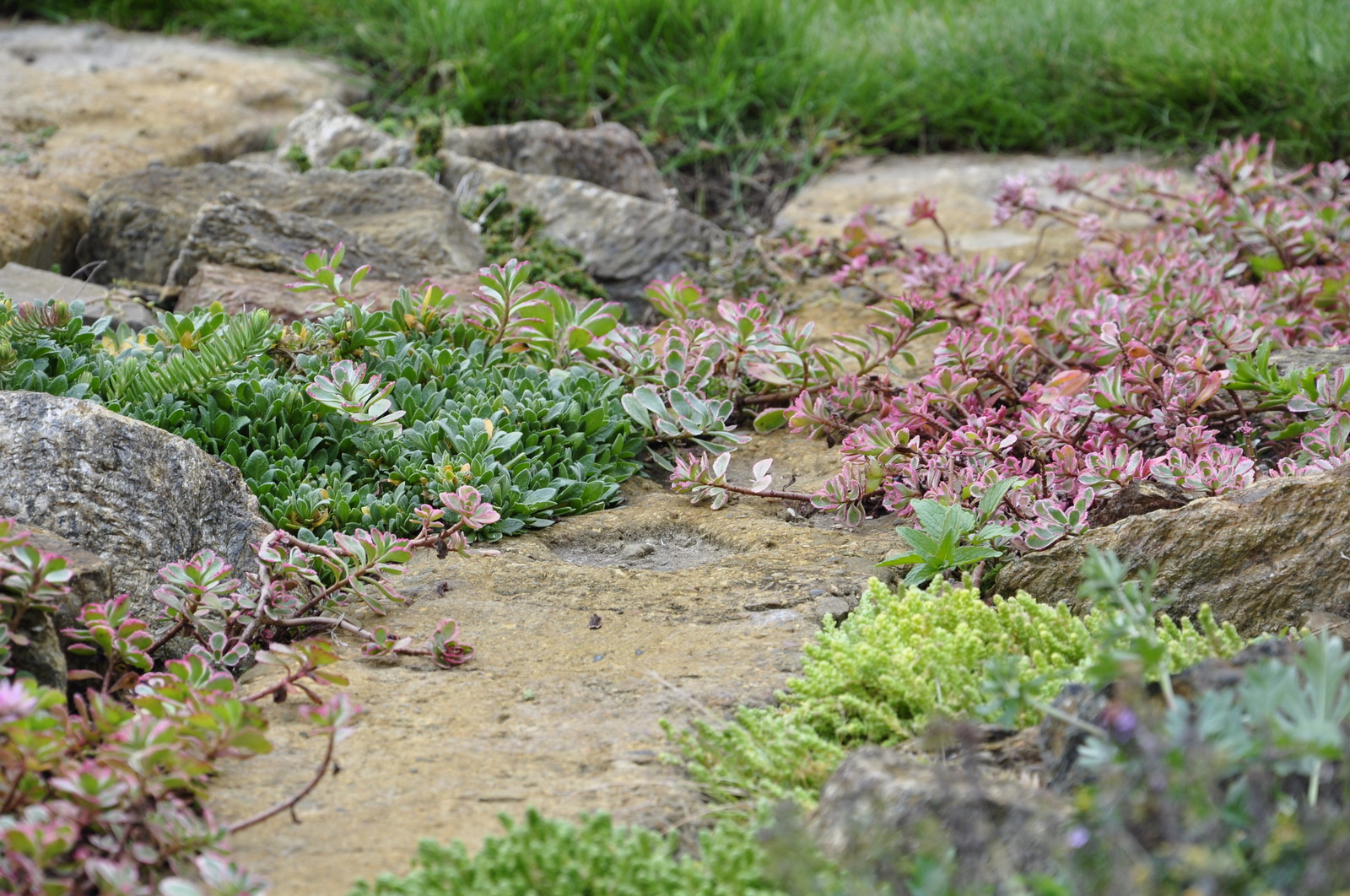 д. Коровино - Уход за садом - 100% качество