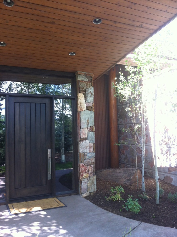 This is an example of a contemporary entryway in Denver.