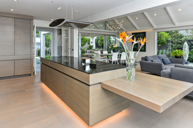 Understated Elegance modern-kitchen