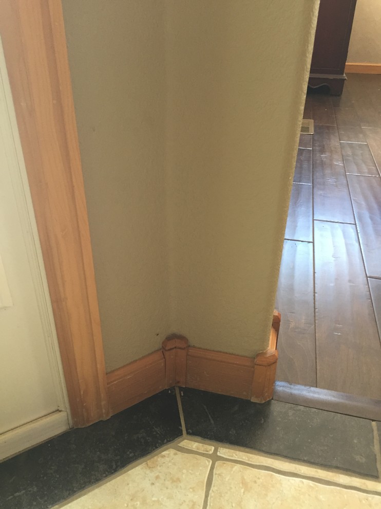 Can you paint wood trim but leave doors oak?