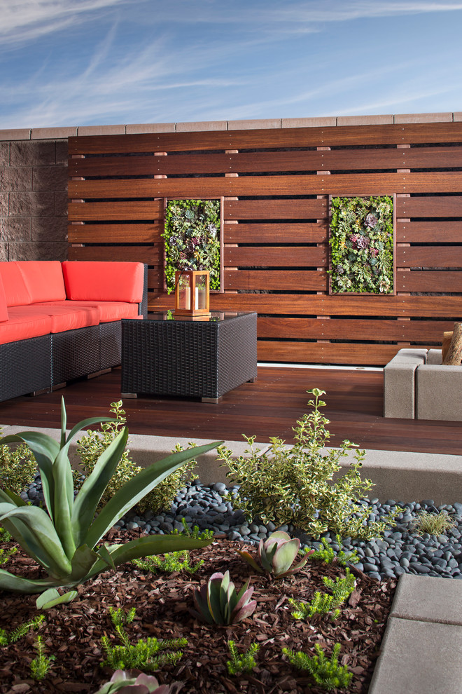 Design ideas for a small contemporary back partial sun garden for spring in San Diego with a living wall and decking.