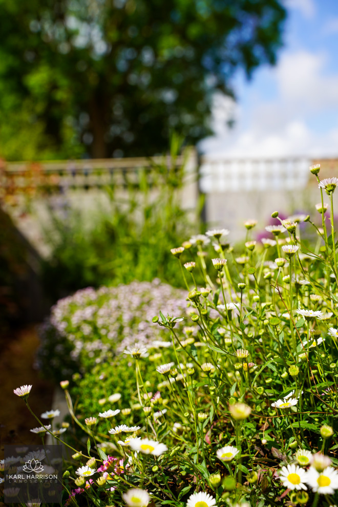 Cette image montre un jardin à la française arrière nordique de taille moyenne et l'été avec un massif de fleurs, une exposition ensoleillée, une terrasse en bois et une clôture en bois.