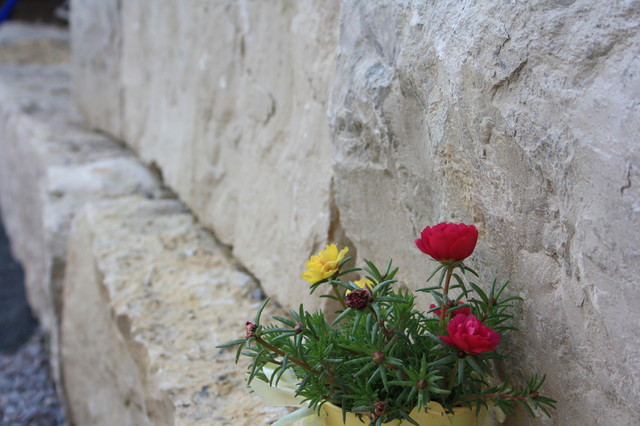 Impressionen garden