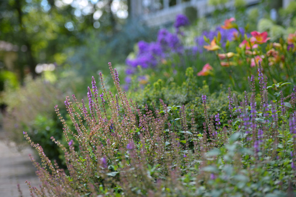 Проект "Волны".Пять лет спустя