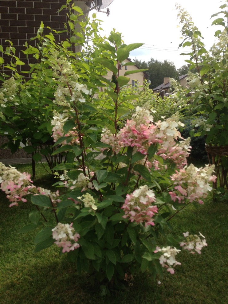 Вавиловец 1