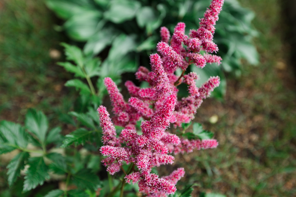 Экстерьер загородного дома
