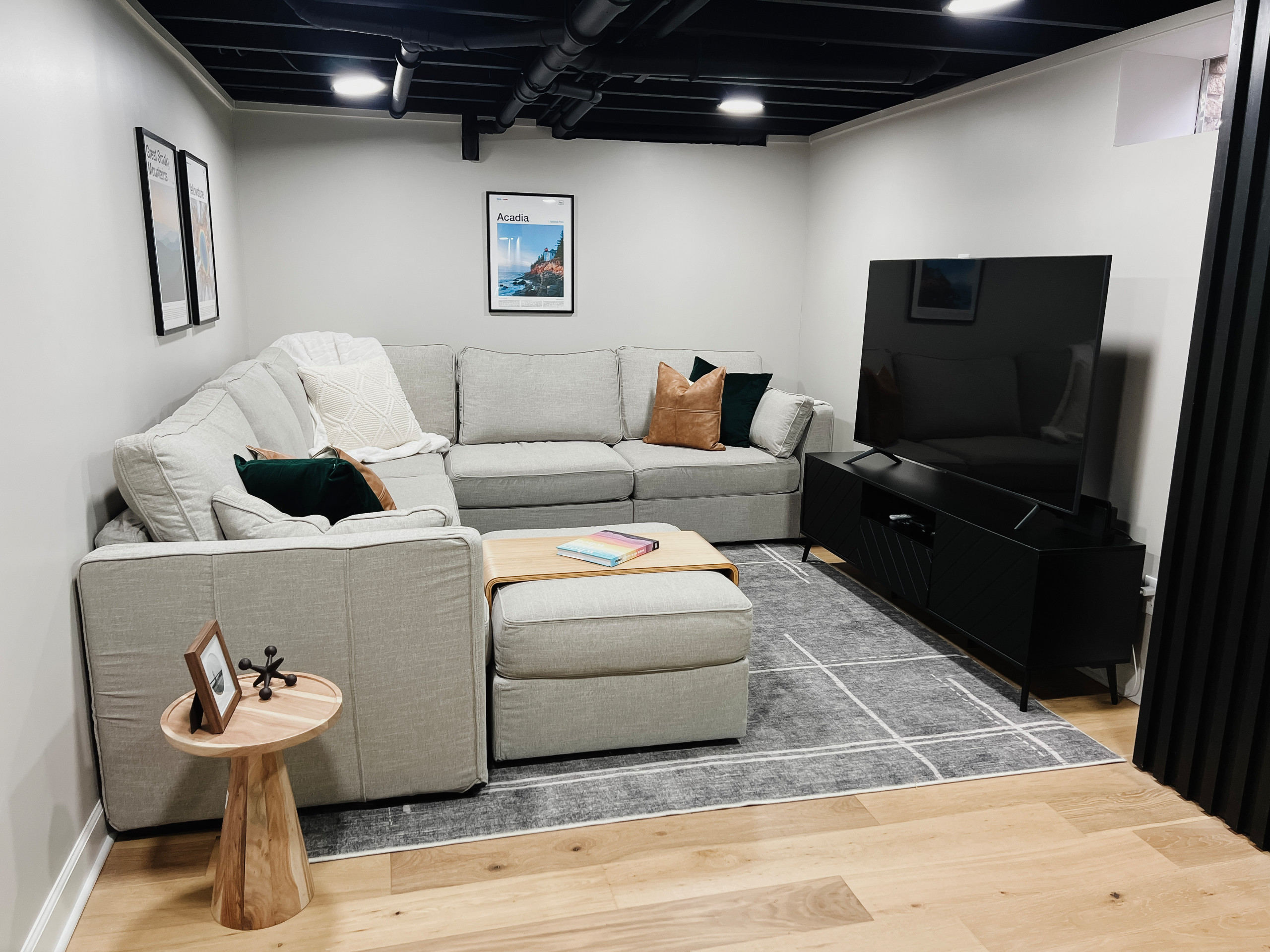 Family Rooms & Basements