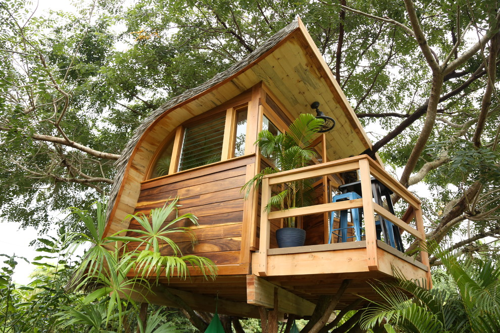 Treehouse Masters Project - Tropical - Shed - Hawaii - by 