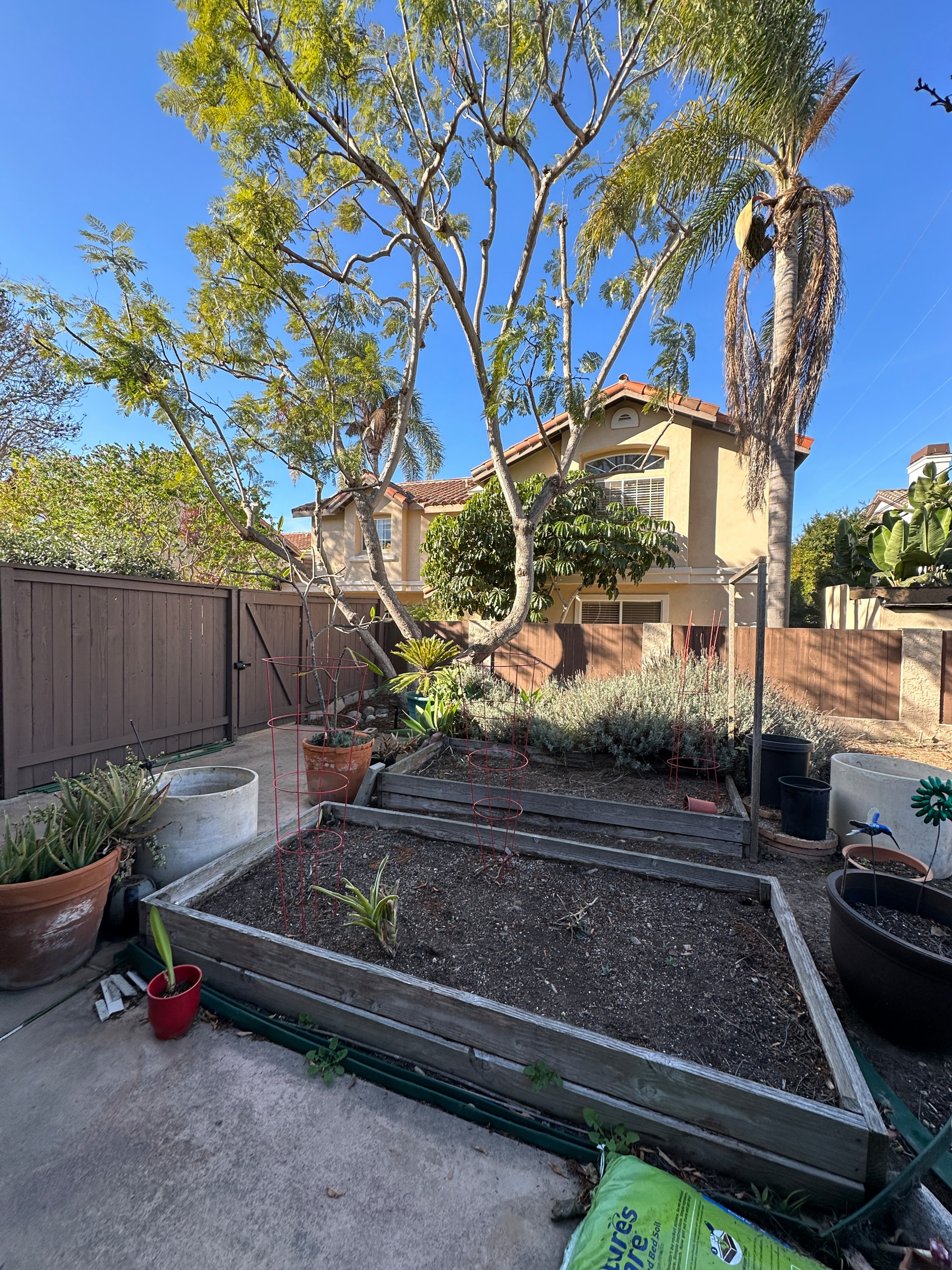 A Condo's Peaceful Front Yard Respite