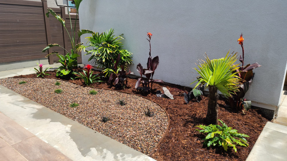 Diseño de camino de jardín tropical pequeño en verano en patio con jardín francés, exposición total al sol y gravilla