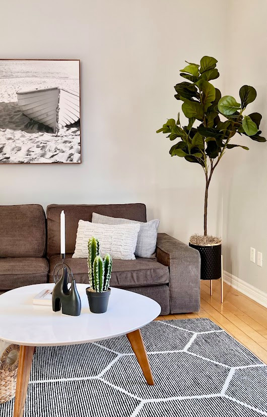 HOME STAGING EXPRESS