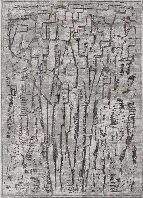 Expressions Rugs KAS Inspire 7506 Expressions Organic and Abstract Rug, Gray, 5'3