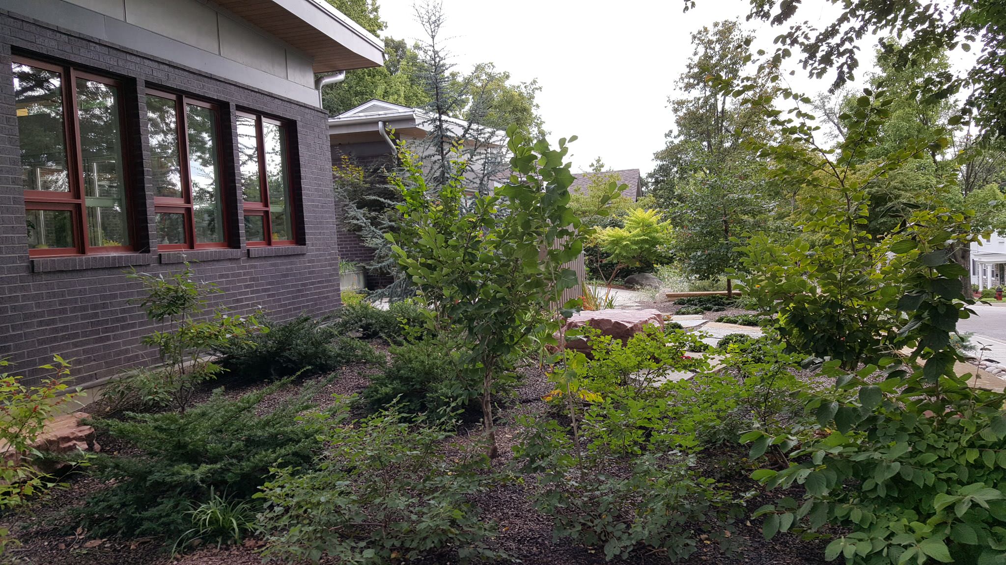 Westwood Contemporary Home Landscape