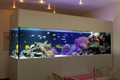 How to make wall aquarium and wall fish tank DIY