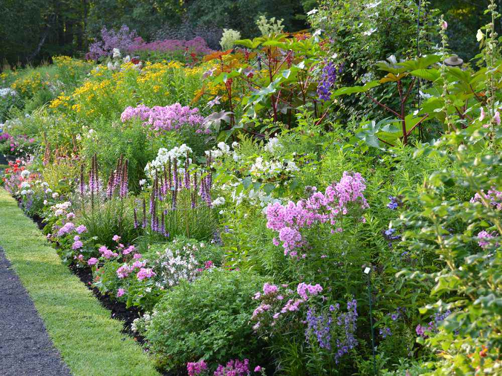 Perennial Gardens in Westport by Peter Atkins and Associates