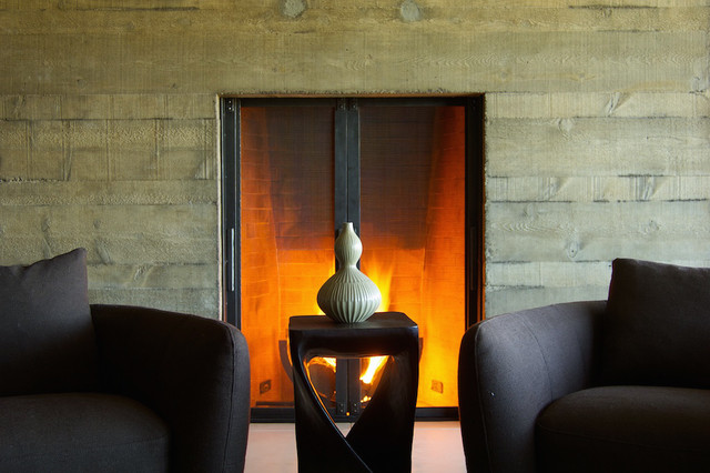 Fireplace contemporary-living-room