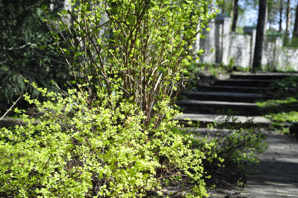 кп. "Архангельское" - Уход за садом - 100% качество!