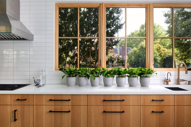 Cozy Bungalow Fix-Up in Chevy Chase, Washington DC contemporary-kitchen