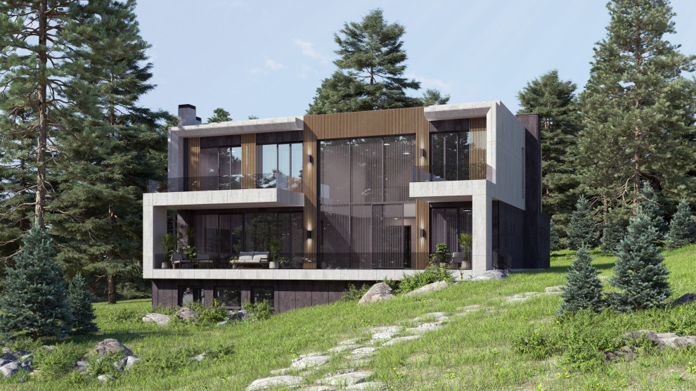 Проект вилы