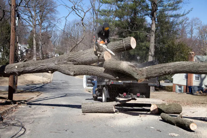 Full Tree Service