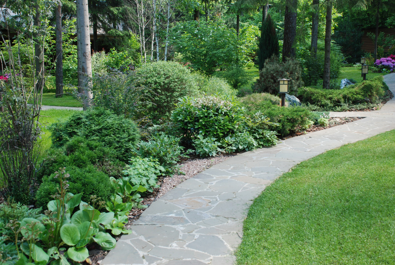 Успенское шоссе РИИТА