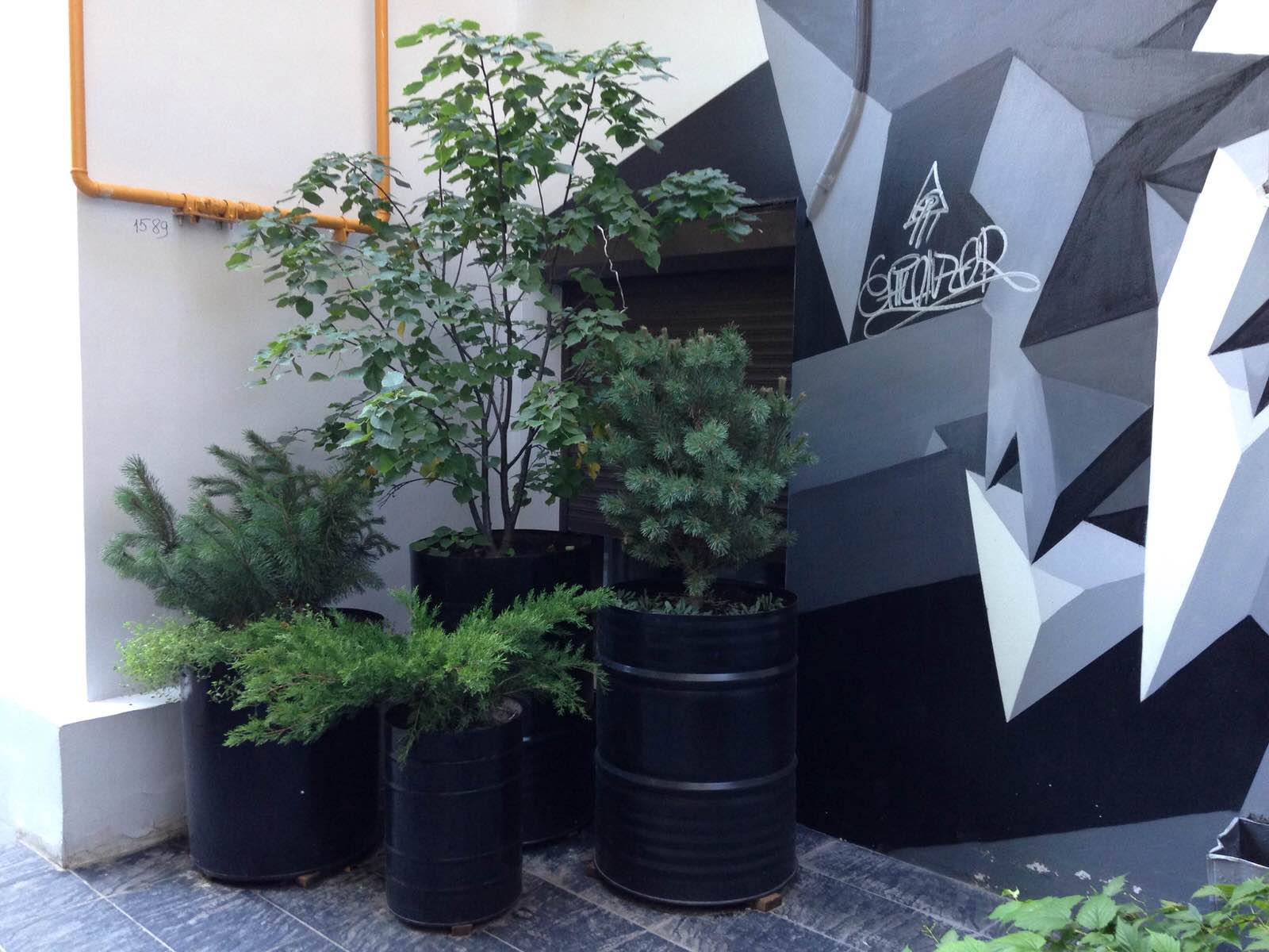 Контейнерное озеленение. Маленький Московский дворик р-н Пушкинской площади