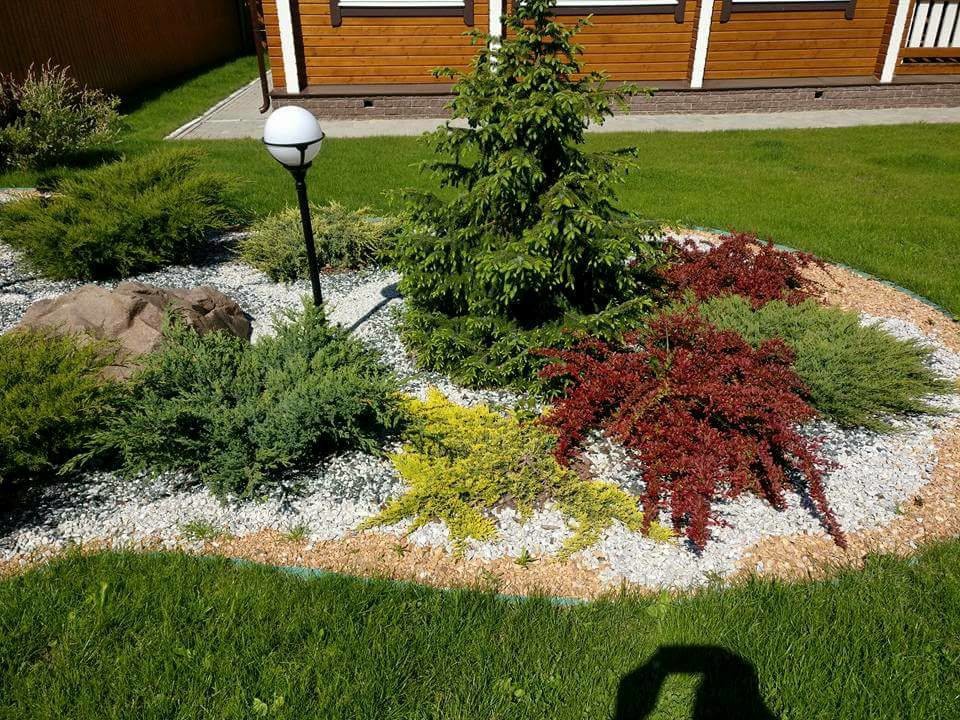 сад, который рисовая я