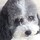 tracey_gill2106950