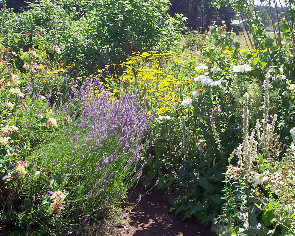Native plants