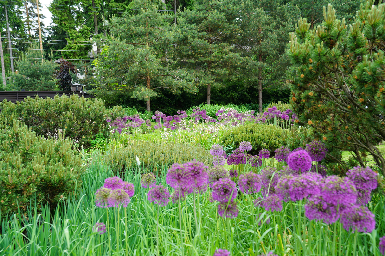 Вилла в стиле Райта. КП "Грибово" 2018 г.