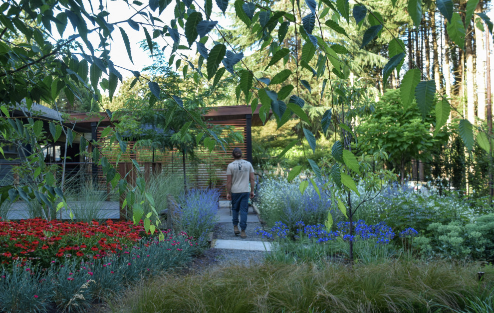 Exemple d'un jardin avant moderne de taille moyenne avec une exposition ensoleillée.