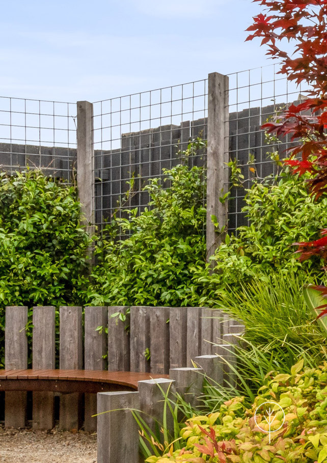 Foto di un grande giardino xeriscape minimalista esposto in pieno sole dietro casa in primavera con un focolare, graniglia di granito e recinzione in legno