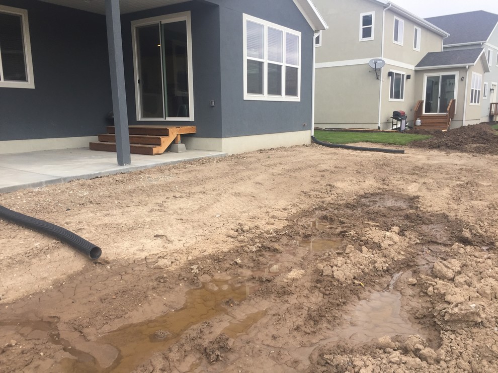 Backyard Before