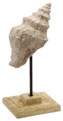 Stone Cast Trumpet Shell on Stand
