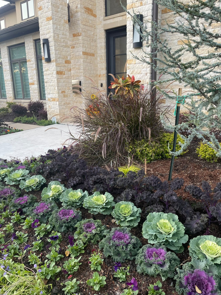 Dallas Residential Landscape
