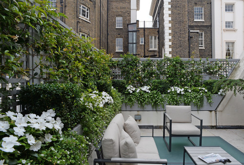 Create A Lush Rooftop Terrace With These 9 Design Tricks