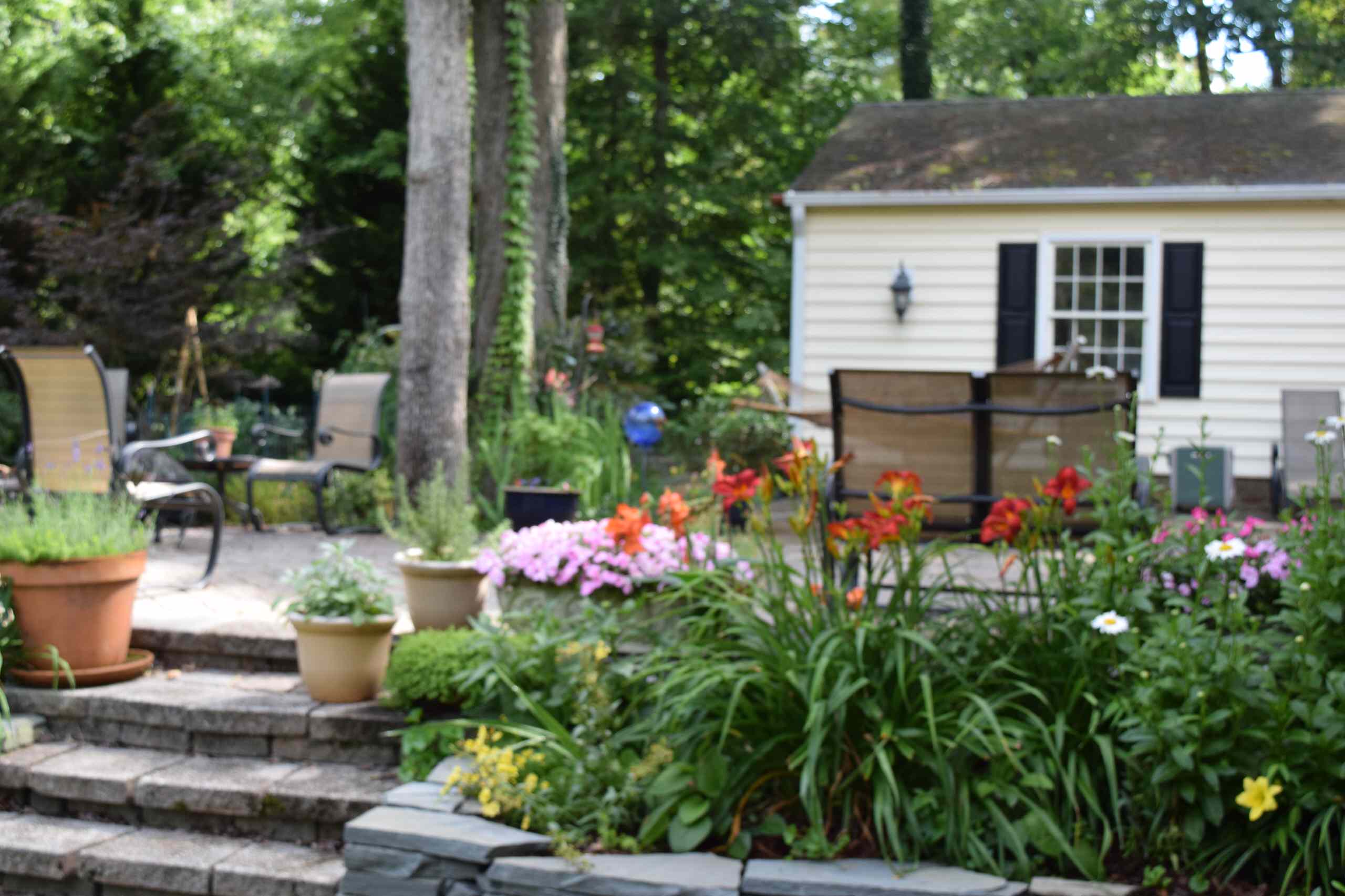 Back yard makeover