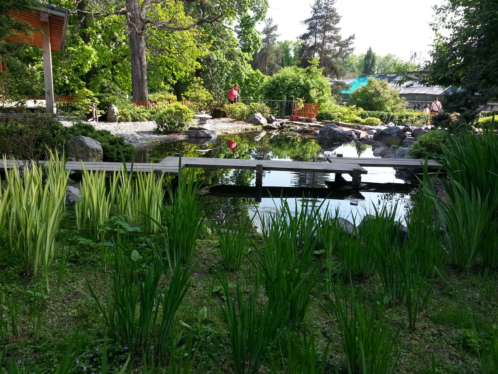 Декоративный фонтан в японском стиле в Ботаническом саду Петербурга