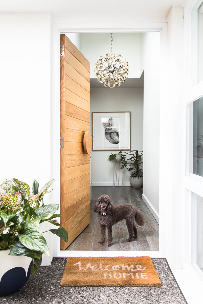 Photo of a contemporary front door in Melbourne with white walls, medium hardwood floors, a pivot front door, a light wood front door and brown floor.