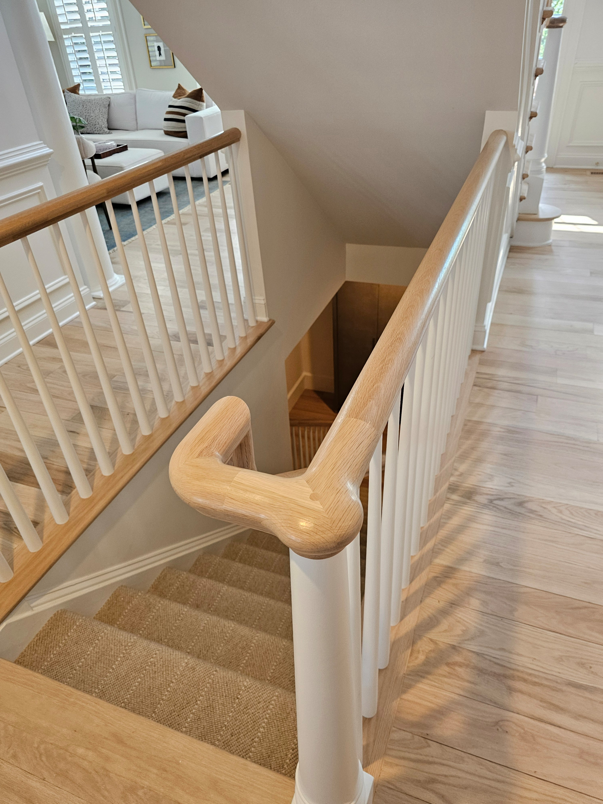 126_Sophisticated Rail Remodel, Leesburg, VA 20176