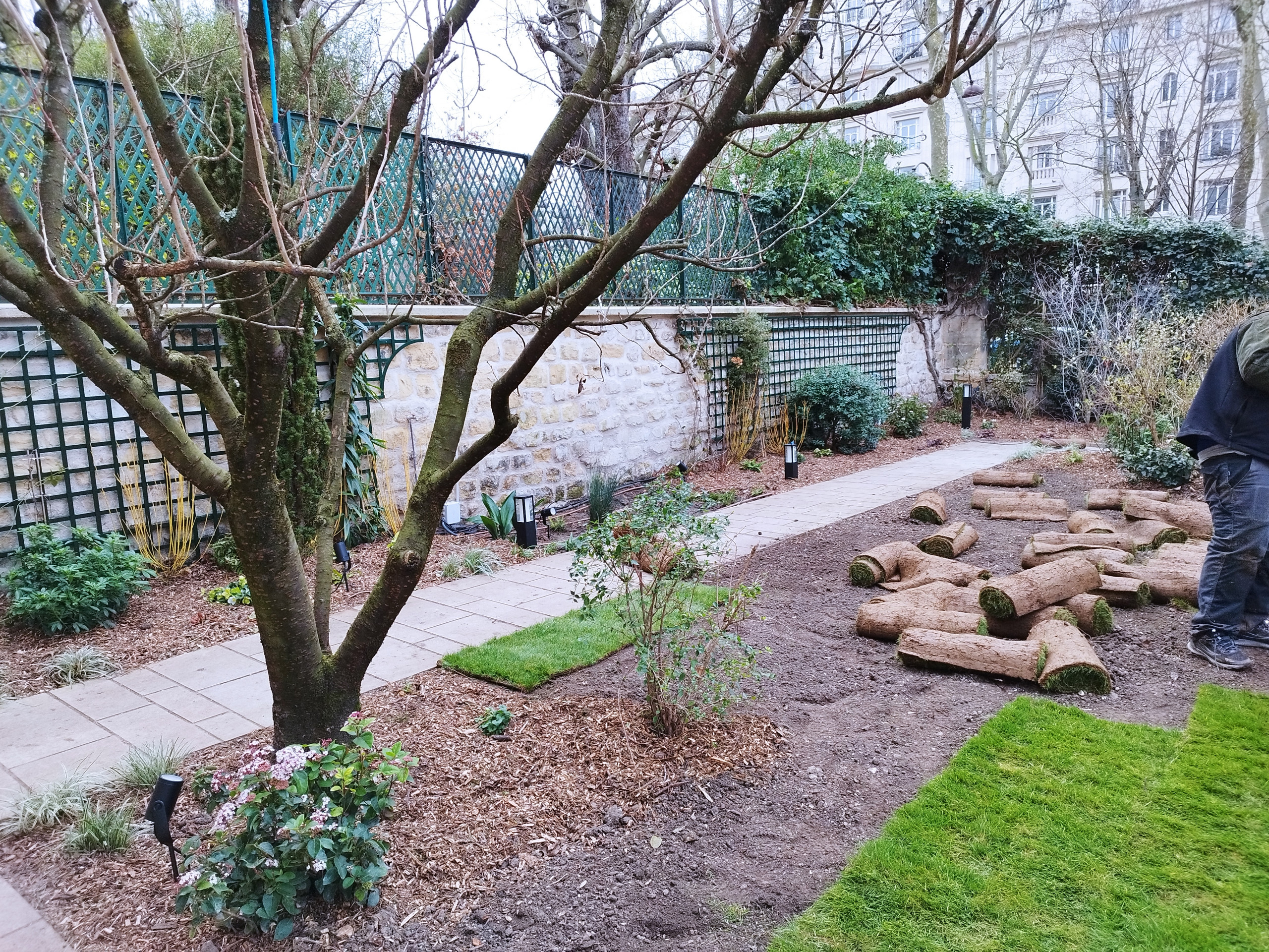 CHANTIER - Mise en place de gazon en plaque